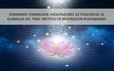 Seminario formación: Activadores de la Glándula del Timo stgo  Do 9 y viernes 14 de junio stgo