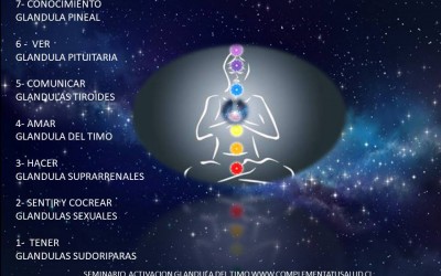 Relacion de las glandulas con el proceso de sanacion y espiritualidad