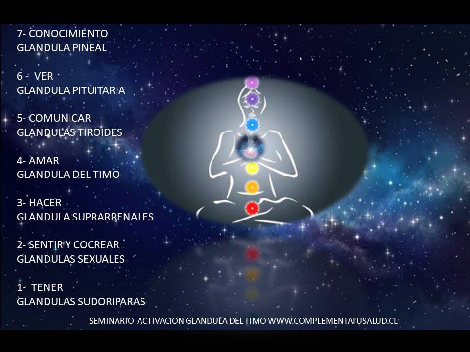 Relacion de las glandulas con el proceso de sanacion y espiritualidad